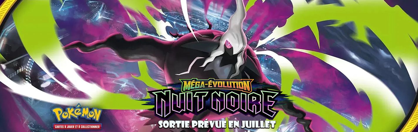 BANNIERE POKEMON nuit noire