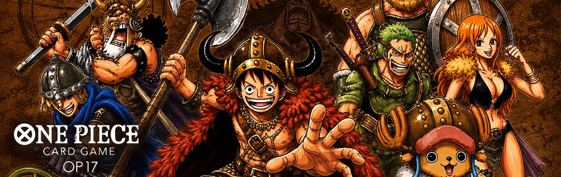 BANNIERE ONE PIECE op17