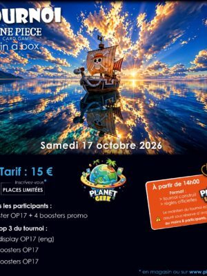 Tournoi One Piece
