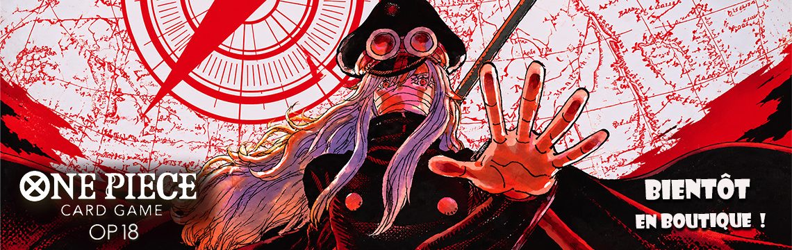 BANNIERE ONE PIECE